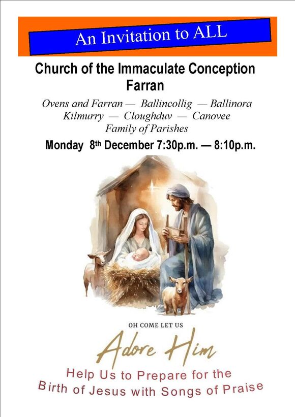 PHOTO 2025 11 05 22 34 50 1